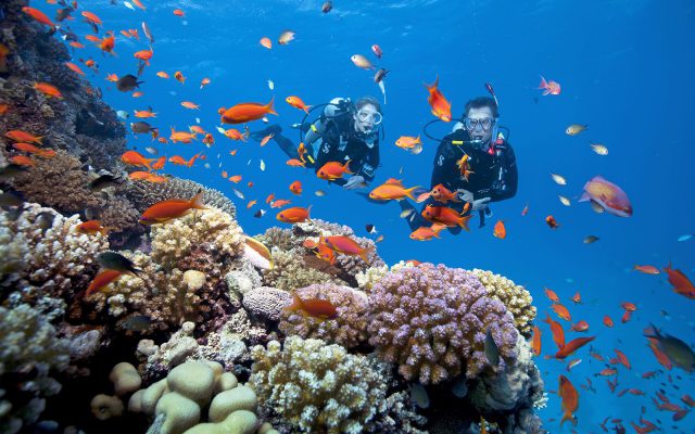 tour du lich phu quoc 1 ngay lan bien ngam san ho cau ca 1