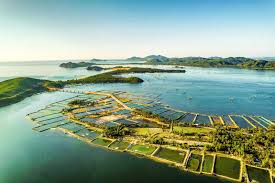 Quy Nhơn - Phú Yên  đầm Ô Loan