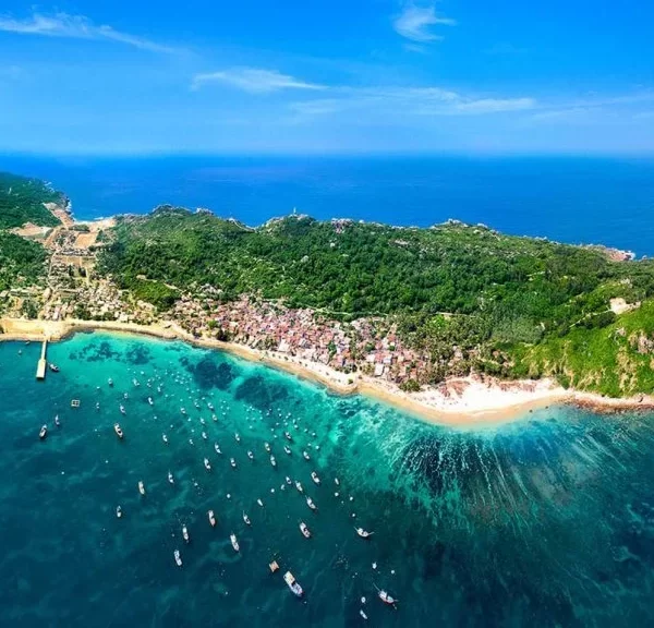 Tour Cù lao xanh